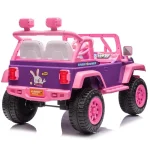Pink Rider - Image 7