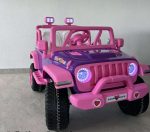Pink Rider